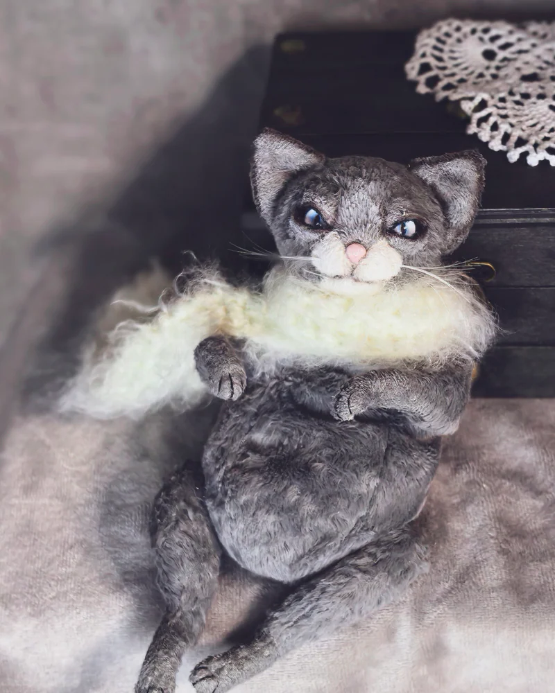 Кот тедди серый — Серый кот тедди