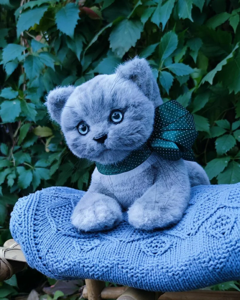 Котёнок Барон