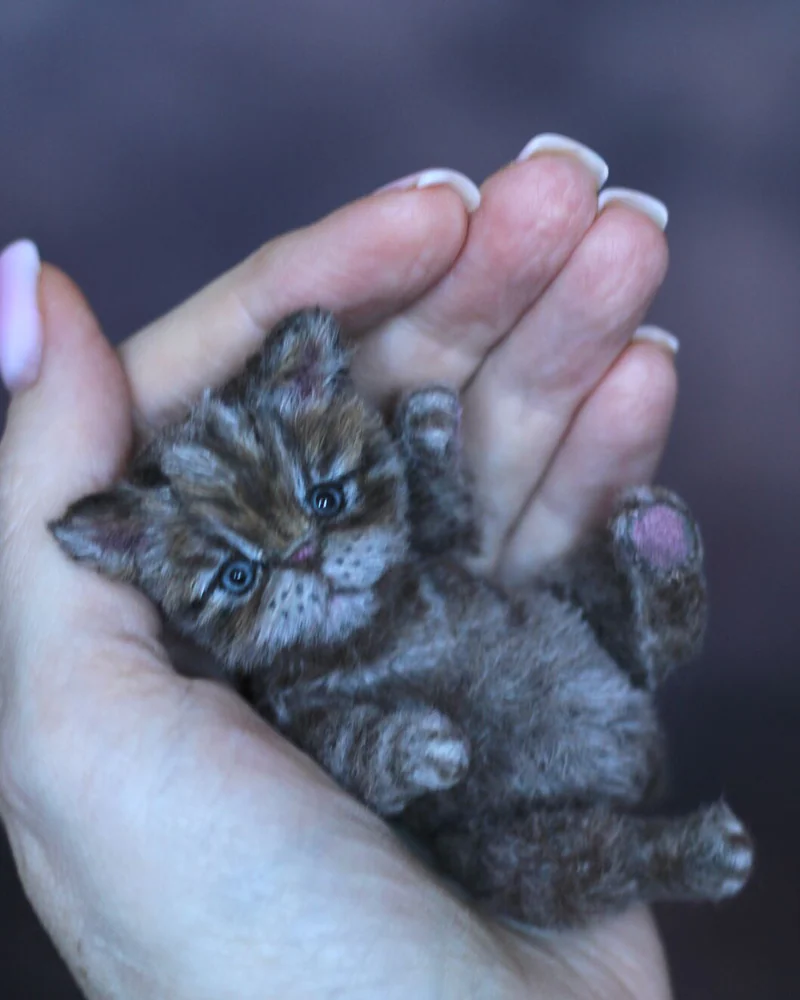 Котенок тедди 9,5 см, серый — Серый