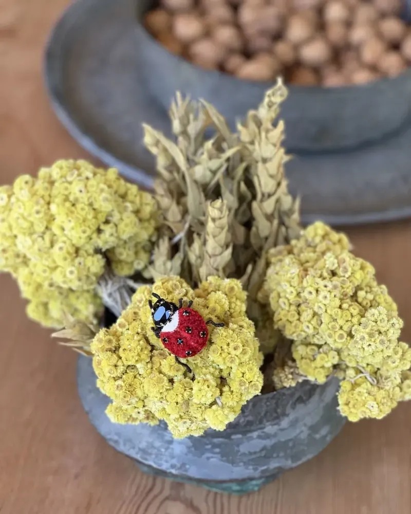 Брошь «Божья коровка»