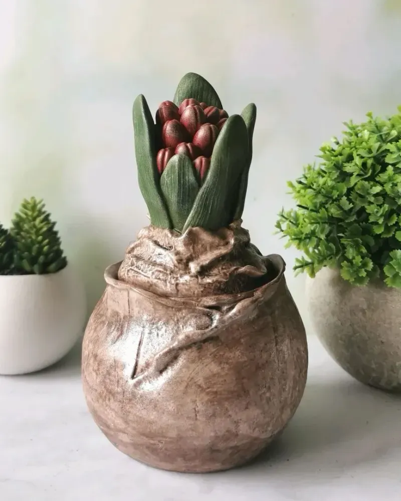 Гиацинт с луковицей, шкатулка-кашпо