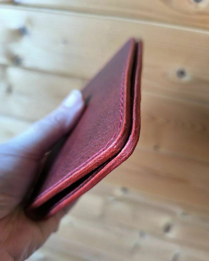 Обложка на паспорт Passport Ruby
