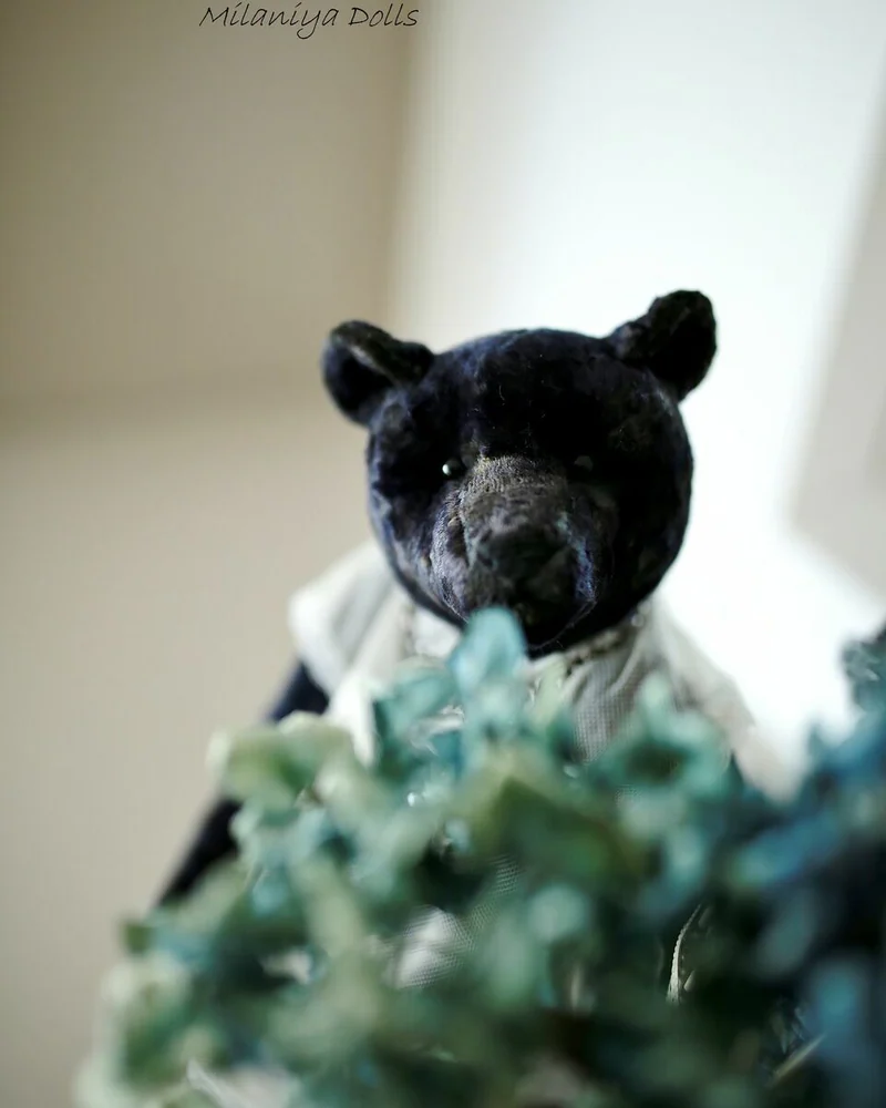 Соня — разноцветный