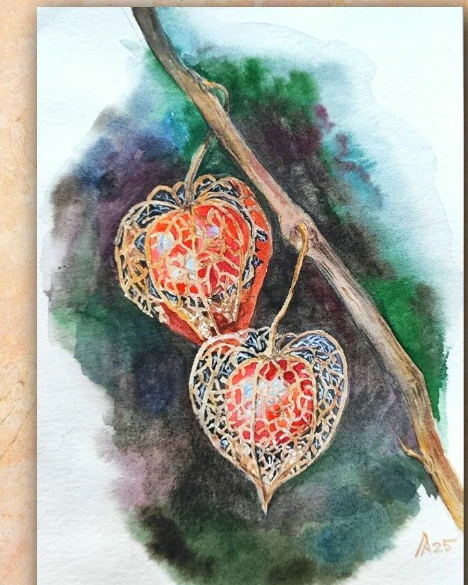 Картина с физалисом акварель 14,9 × 21 см